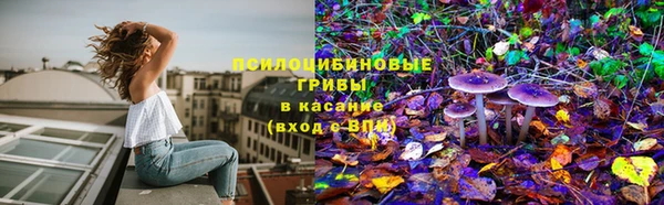 кокс Кукмор