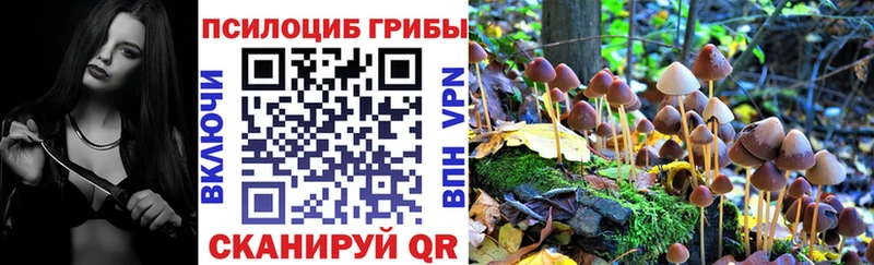 Купить  Магас  Псилоцибиновые грибы Magic Shrooms 